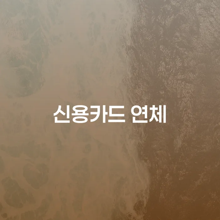 회생전문변호사 대출 받은 돈채무조정 어떻게