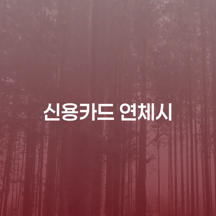 파산법무사 개인회생 제도 무료상담