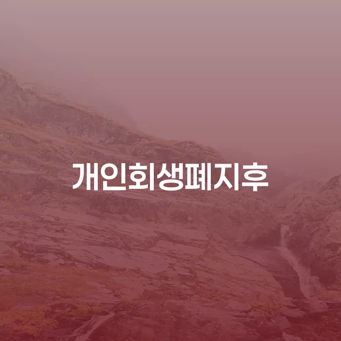 대출미납 대출 연체 개인회생 해결 할 수 있을까?