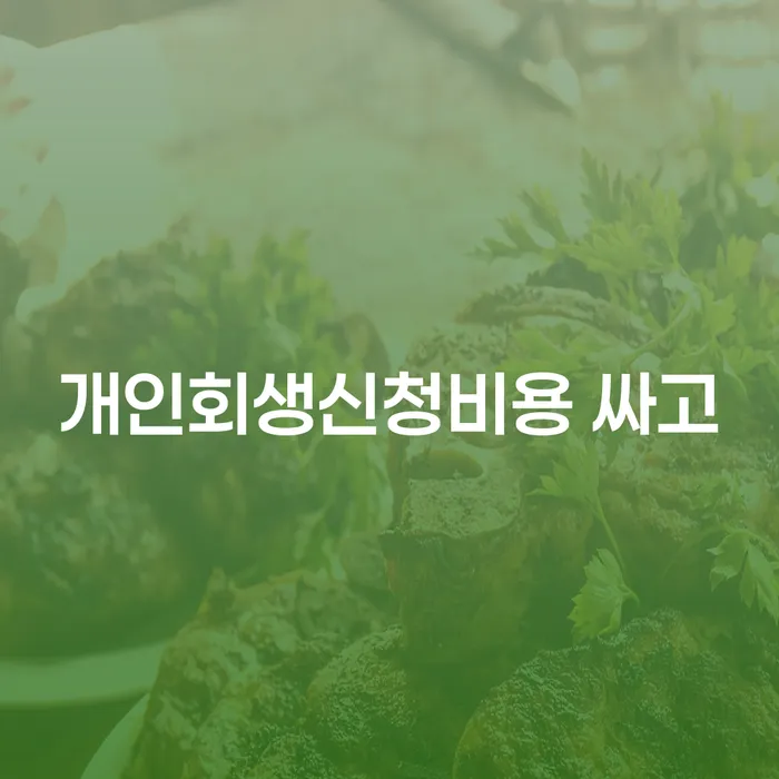 개인회생신용회복 빚청산 조심스럽게