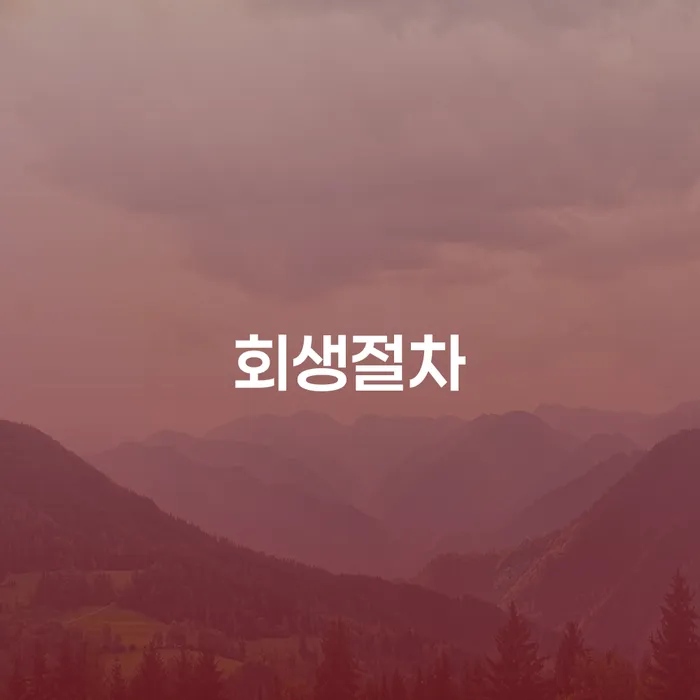태백시 카드빛 개인회생 문제해결방법 신청절차에
