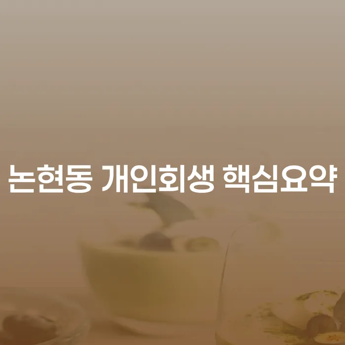 논현동 개인회생 핵심요약