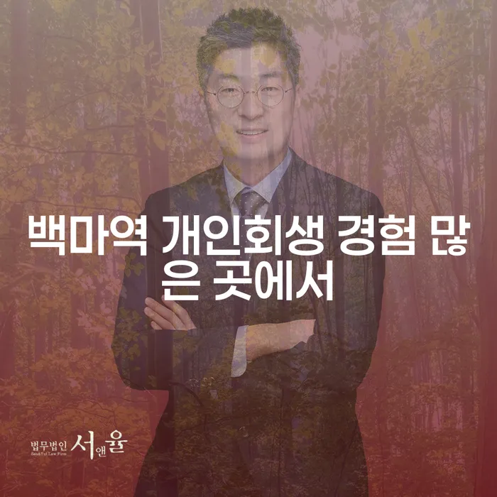 백마역 개인회생 경험 많은 곳에서